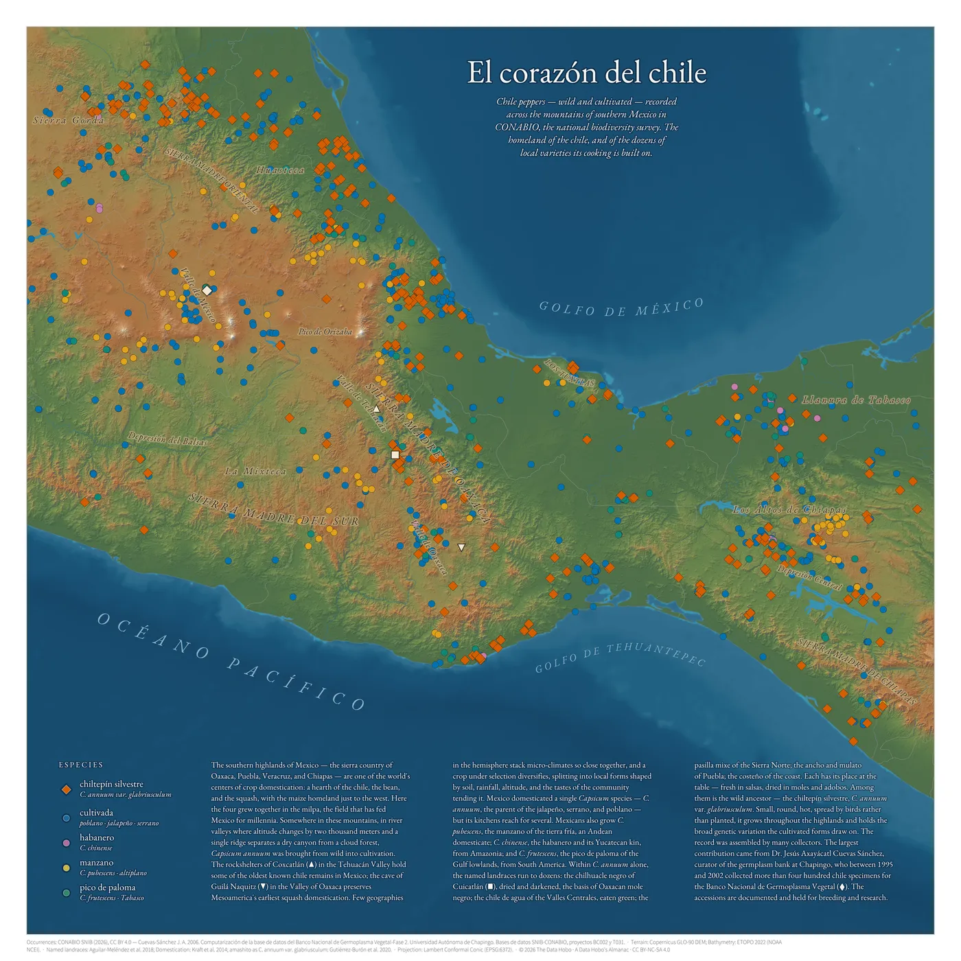 Map of wild and cultivated chile peppers across the mountains of southern Mexico, drawn from CONABIO's national biodiversity records over shaded terrain.